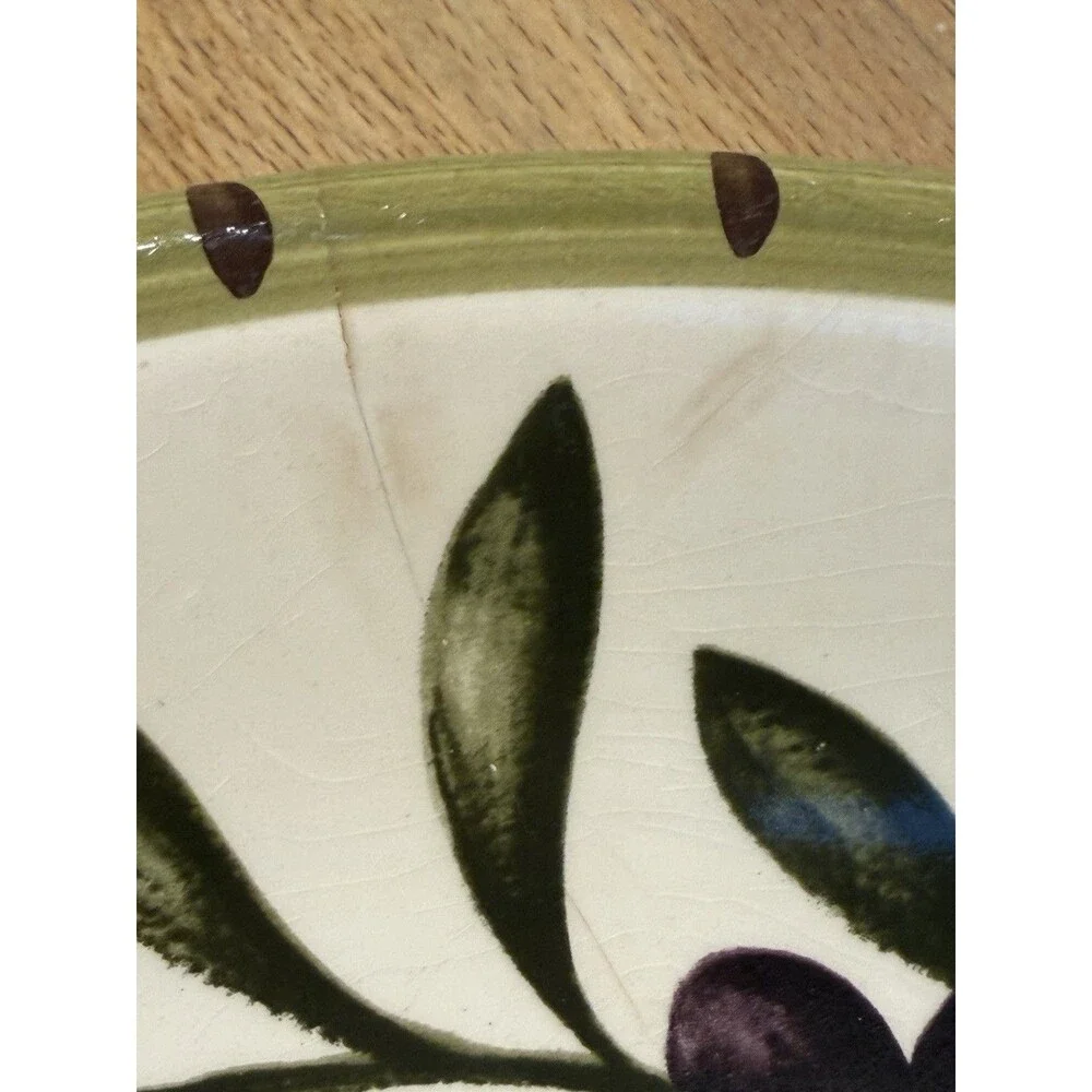 Williams Sonoma Pasta Bowl Liguria Pattern Olive Branches Glossy